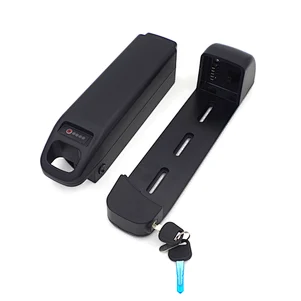 Ebike battery